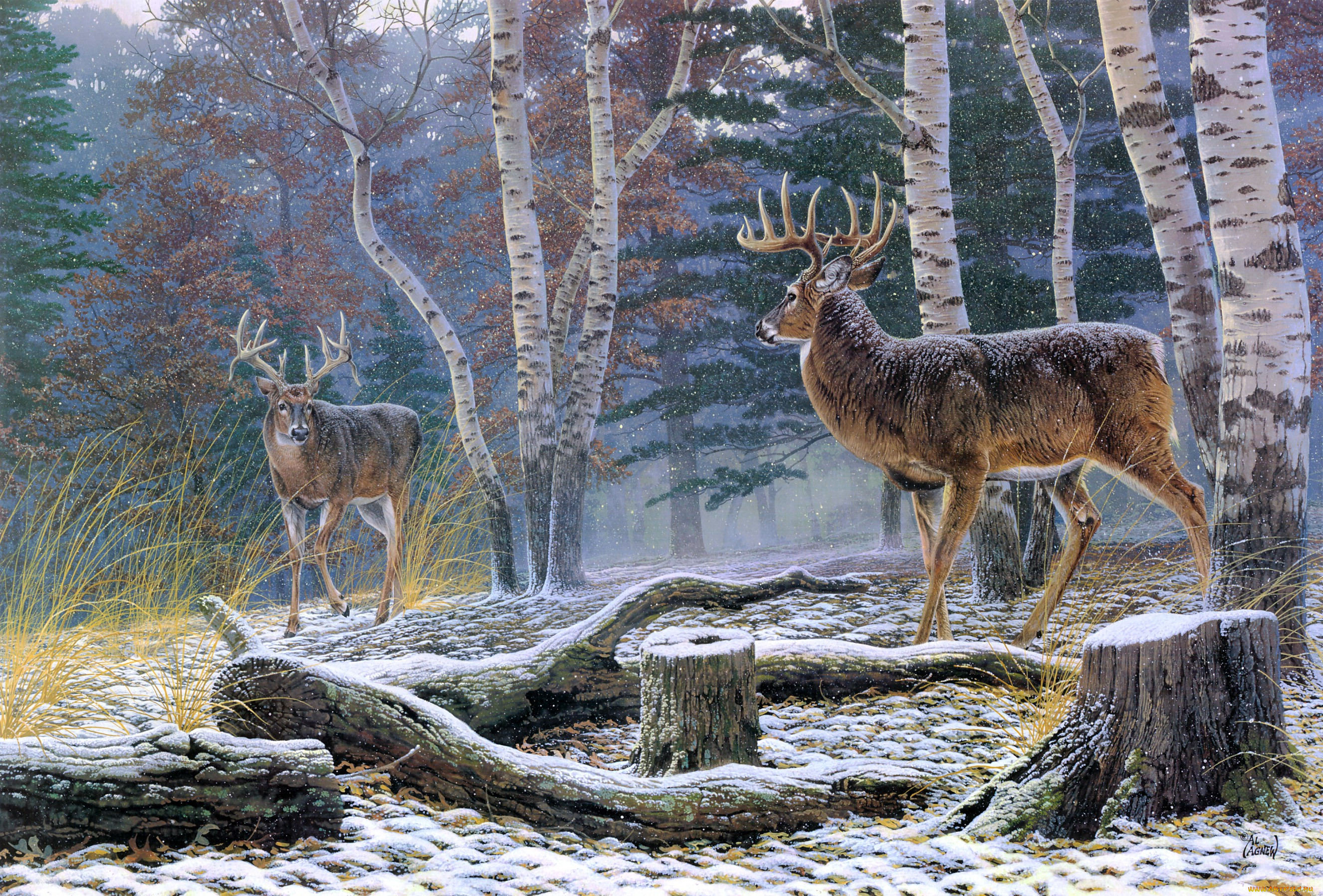 confrontation, , al, agnew, , , , 